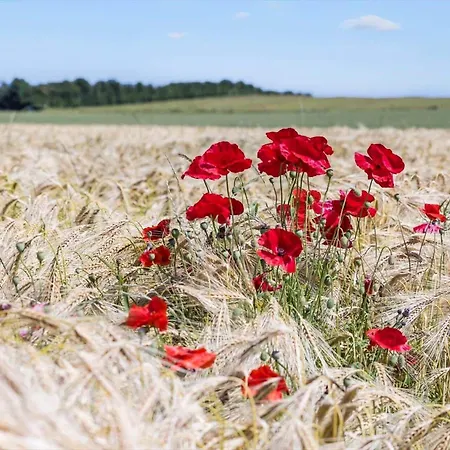 Дом отдыха 8502-grenaa-fridavej-17 *